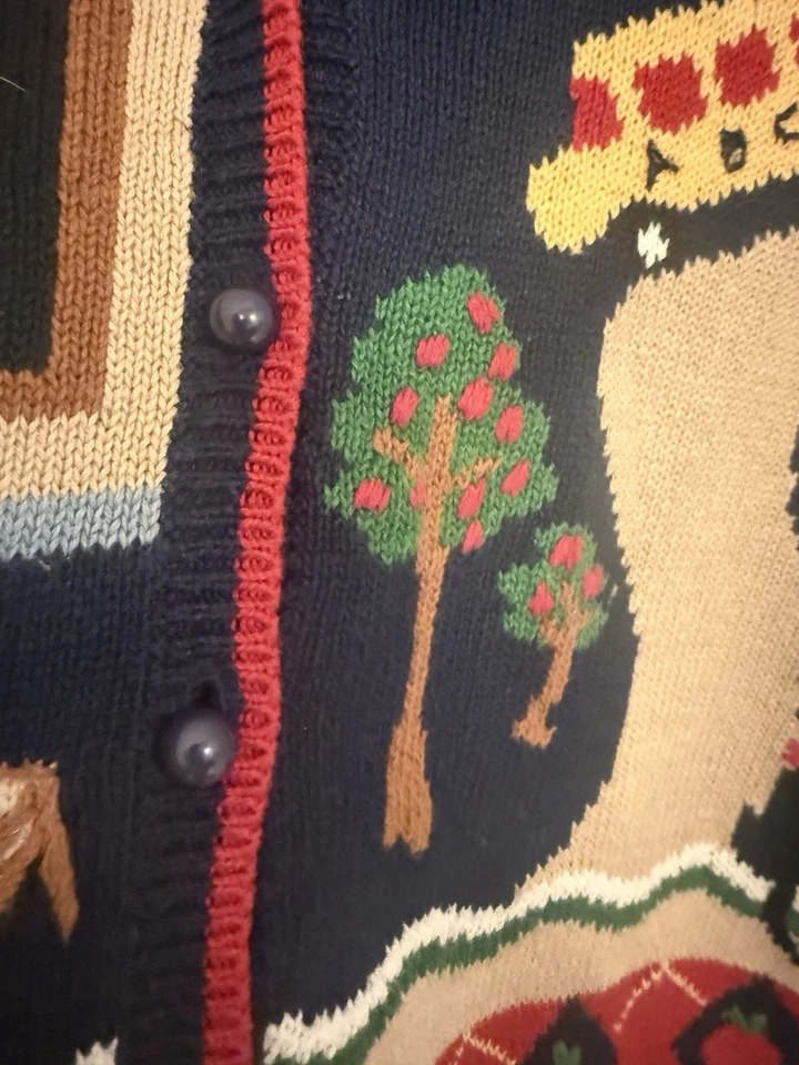 Chaleco Suéter Vintage Años 90 Cottage Core Apple Sm Profesor Americana Capacidad Foto 4 de 4