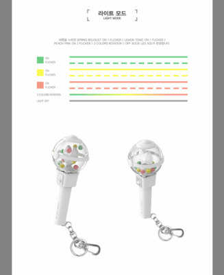PARK JI HOON OFFICIAL LIGHT STICK MINI KEY RING w/ Tracking