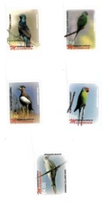 Micronesia 2006 - Birds - Set Of 5 Definitive Stamps - Scott #684-90 - MNH