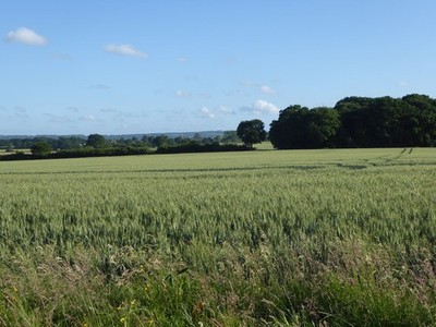 Photo A3 View towards Birds Wood Crockham Hill This view is from the foo c2017