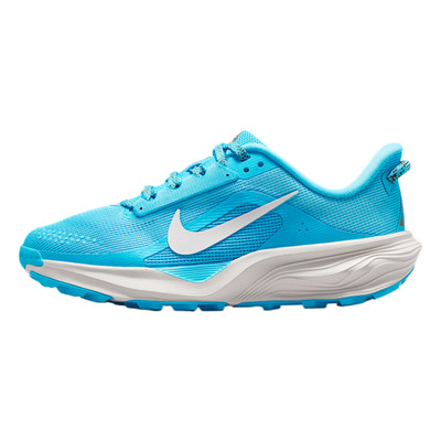 Nike ACG Pegasus Trail Big Kids' Running Shoes (Baltic Blu)