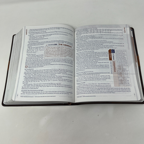 Strive: The Bible for Men TNIV by Zondervan - Imitation Leather - 2005 - Bild 16 von 17