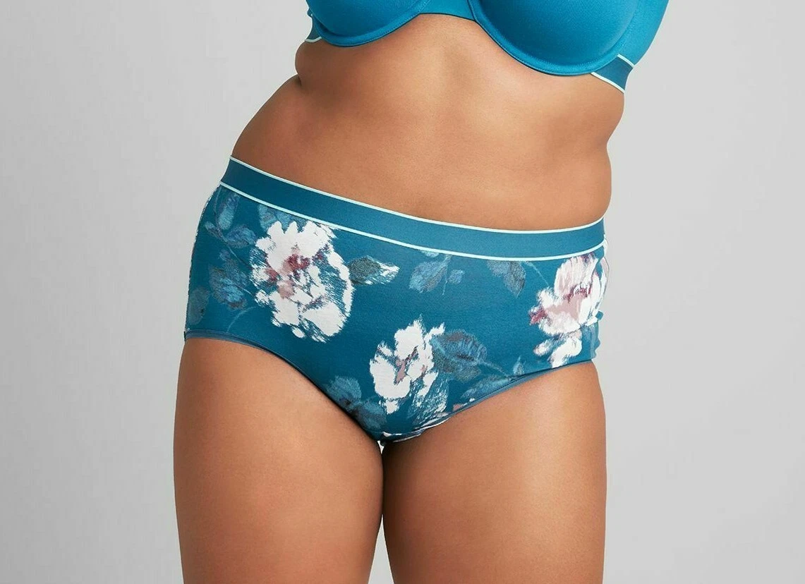 CACIQUE Cotton BRIEF Wide Waist Panties PLUS 18/20 BLUE Floral Lane Bryant  NWT