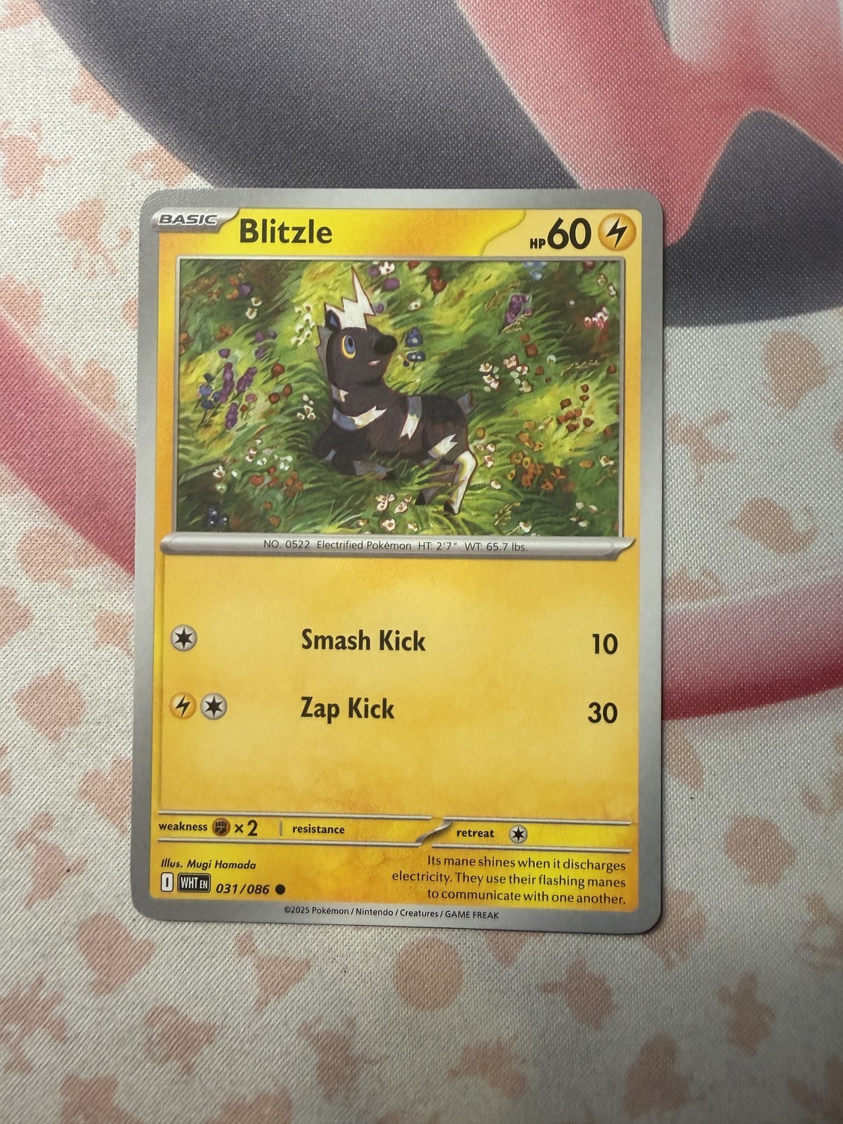 Blitzle Common SV: White Flare 031/086 NM English Pokemon Card
