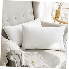 Velvet Throw Pillow Covers 12x20 Inch, Pack 20" x 12" Pack of 2 Pure White