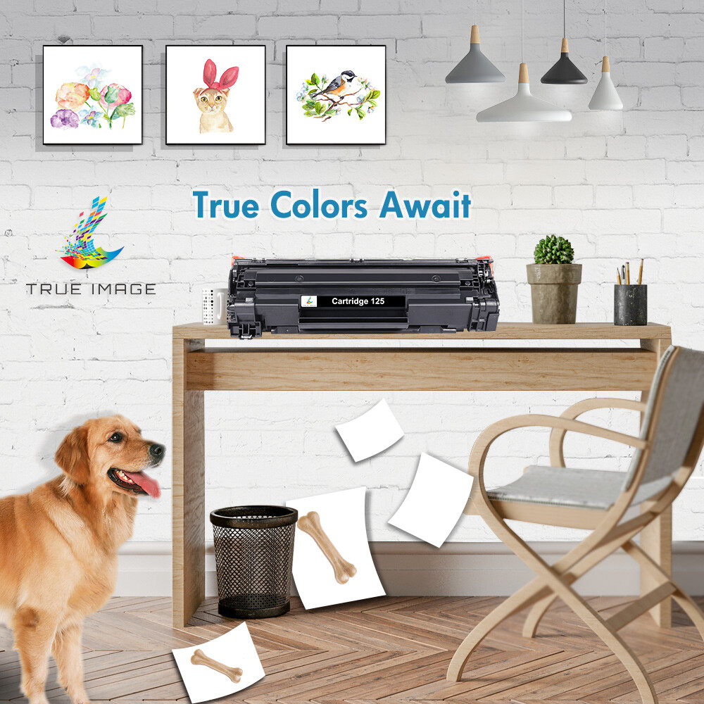 2PK CRG-125 For Canon 125 Toner Cartridge 125 ImageClass MF3010 LBP6030w LBP6030