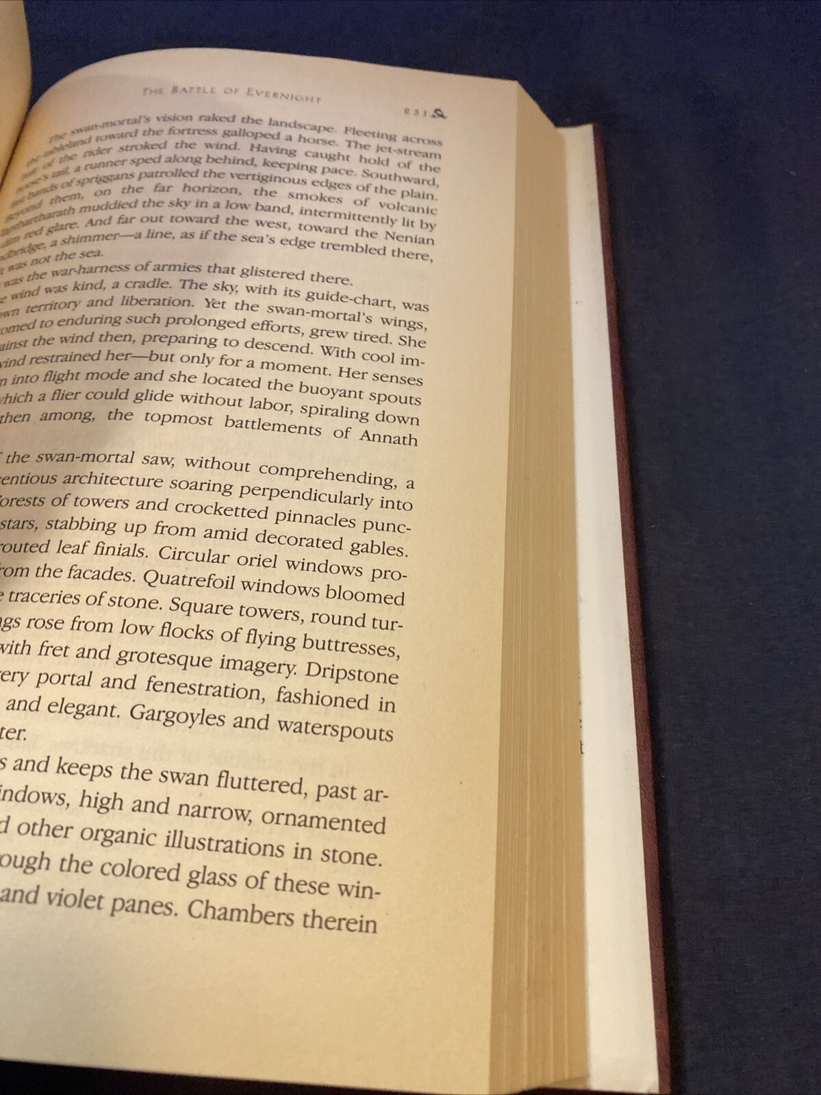 THE BATTLE of EVERNIGHT BITTERBYNDE BOOK 3 by CECILIA DART-THORNTON Hardcover 