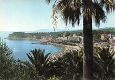 Postcard Celle Ligure Panorama with palm tree (Savona)