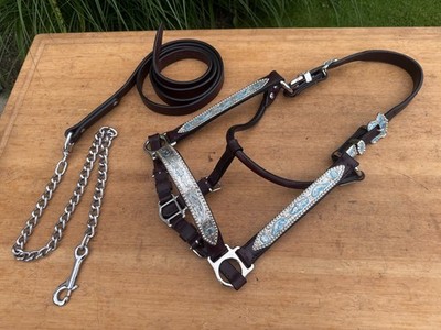 RAMIREZ Silversmiths Silver Western Show Halter w Lead ~ Full Size