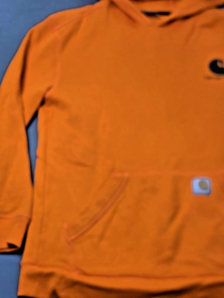 Carhartt Sudadera con Capucha Juvenil Grande 14-16 Adulto Pequeño Blaze Naranja Hechizo Peso Medio Foto 4 de 4