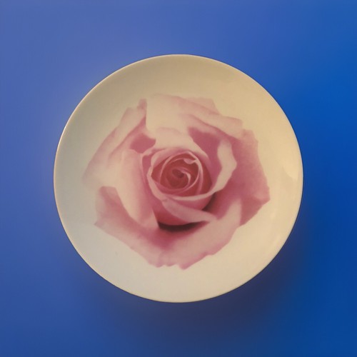 Wedgwood Bloomers púrpura Lisianthus y rosa 4 platos de ensalada hueso China Inglaterra - Imagen 2 de 5