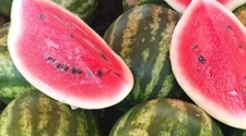 50+ Oh So Sweet Watermelon Seeds for Garden Planting - USA - FREE SHIPPING!