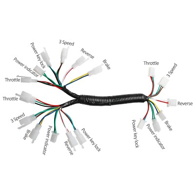 Wiring Harness Kit for 4Wheeler Electric Scooter Two Motor/Controller Connection