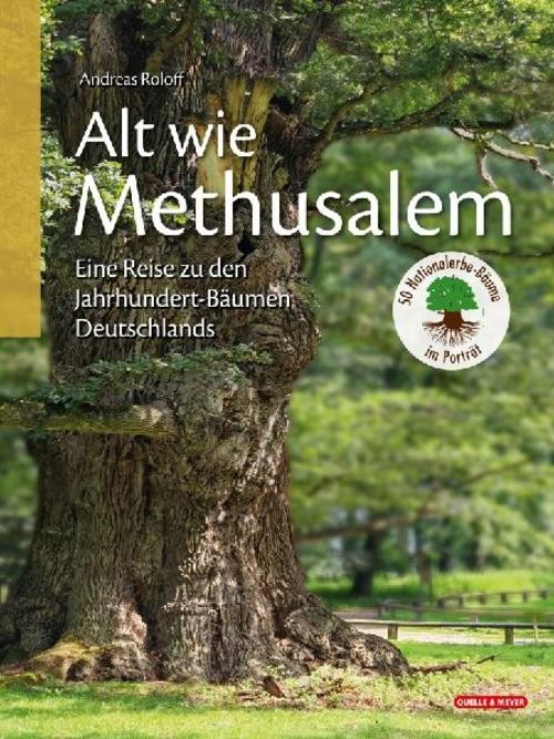 Alt wie Methusalem - Eine Reise zu den Jahrhundert-Bäumen Deutschlands Andreas R