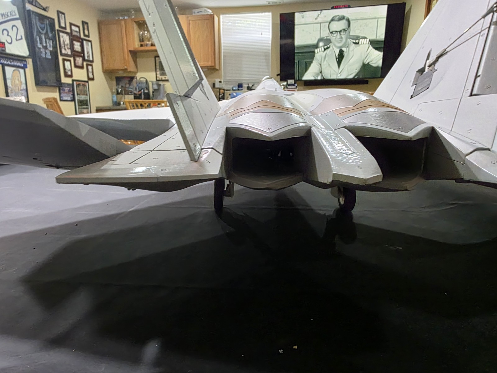 Freewing F-22 Raptor High Performance 90mm EDF