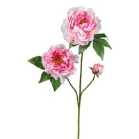 artplants Deko Zweig Pfingstrose Broli, Rosa, 80Cm