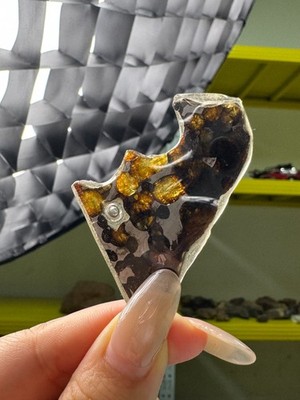 8.5g Sericho Pallasite Slice Meteorite Fragments: Collectible  Space Gems 