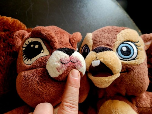 Juguetes de peluche de 15" FIESTA Sammy the Squirrel & Girlfriend-2 de peluche; Great Wolf Lodge - Imagen 11 de 12