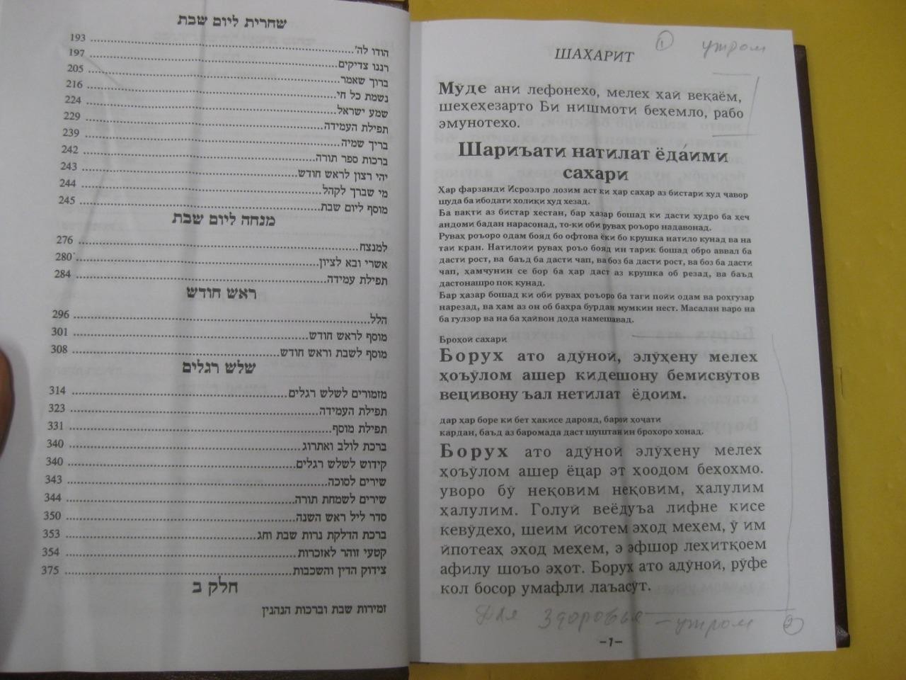 Picture 5 of 8