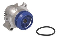 Wasserpumpe SKF Vkpc 81205