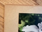 Edithe Beutler Signed Orchid Oil Colored Photo Hawaii c1940 + her book signed — photo 5