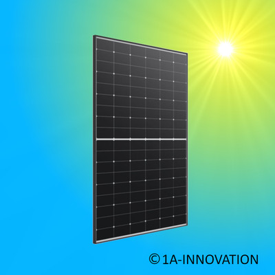 Solarmodul 455W Trina Solar Black Frame Glas-Glas TSM-455NEG9R.28