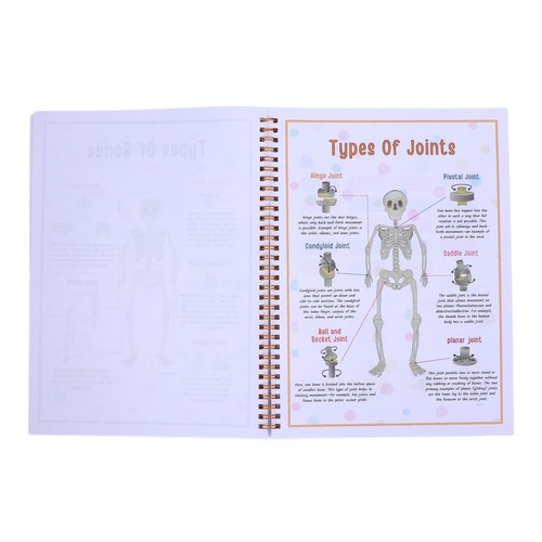 Livre D'anatomie Du Corps Humain Pour Les Tout-petits Apprentissage Préscola OBF - Afbeelding 7 van 12