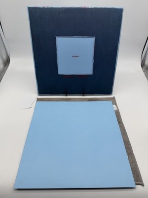 Pinegrove - Skylight - 12'' 2xLP Clear Skylight Vinyl Deluxe Limited- Indie Rock