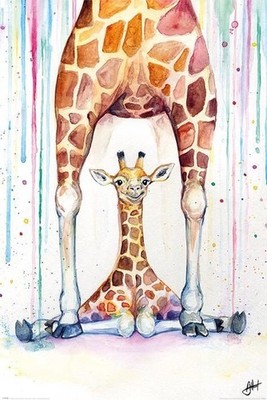 Gadget - Marc Allante: Pyramid - Gorgeous Giraffes (Poster Maxi 61X91,5 Cm) -D- 