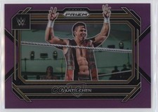 2023 Panini Prizm WWE Purple Prizm 36/149 Dante Chen #60 x5u