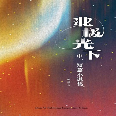 Under the Northern Lights Suyun Chen Paperback Dixie W Publishing