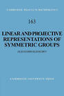 Linear and Projective Representations of Symmetric Groups by Alexander Kleshchev (Hardback, 2005)