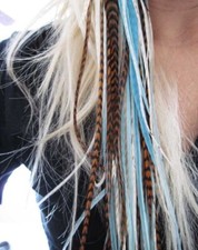 Feather Hair Extension brown/blue  Bunch of 7 + Beads +instructions  free tool
