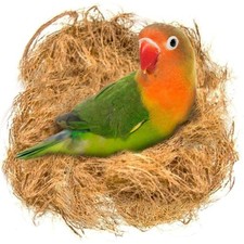 Coconut Fiber Loose Bedding for Birds Nesting Material Budgie Canary Parakeet