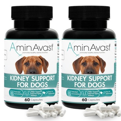 Kidney Support Supplement for Dogs, 1000mg 2-Pack - Promotes Natural Kidney