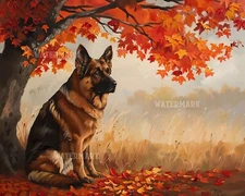 German Shepherd under fall tree - 8x10 Matte Print
