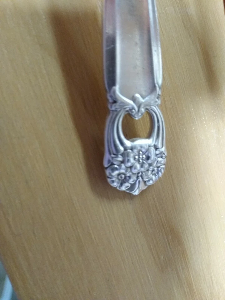 Cuchara grande para servir de 8,5" 1847 cubiertos plateados Rogers Bros Eternally Yours Foto 2 de 4