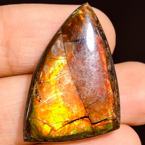 23.50Cts. Natural Play Of Multi Fire Ammolite Fancy Cabochon Loose Gemstone
