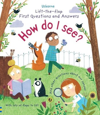 First Questions and Answers: How do I see? by Katie Daynes (English) Board Book