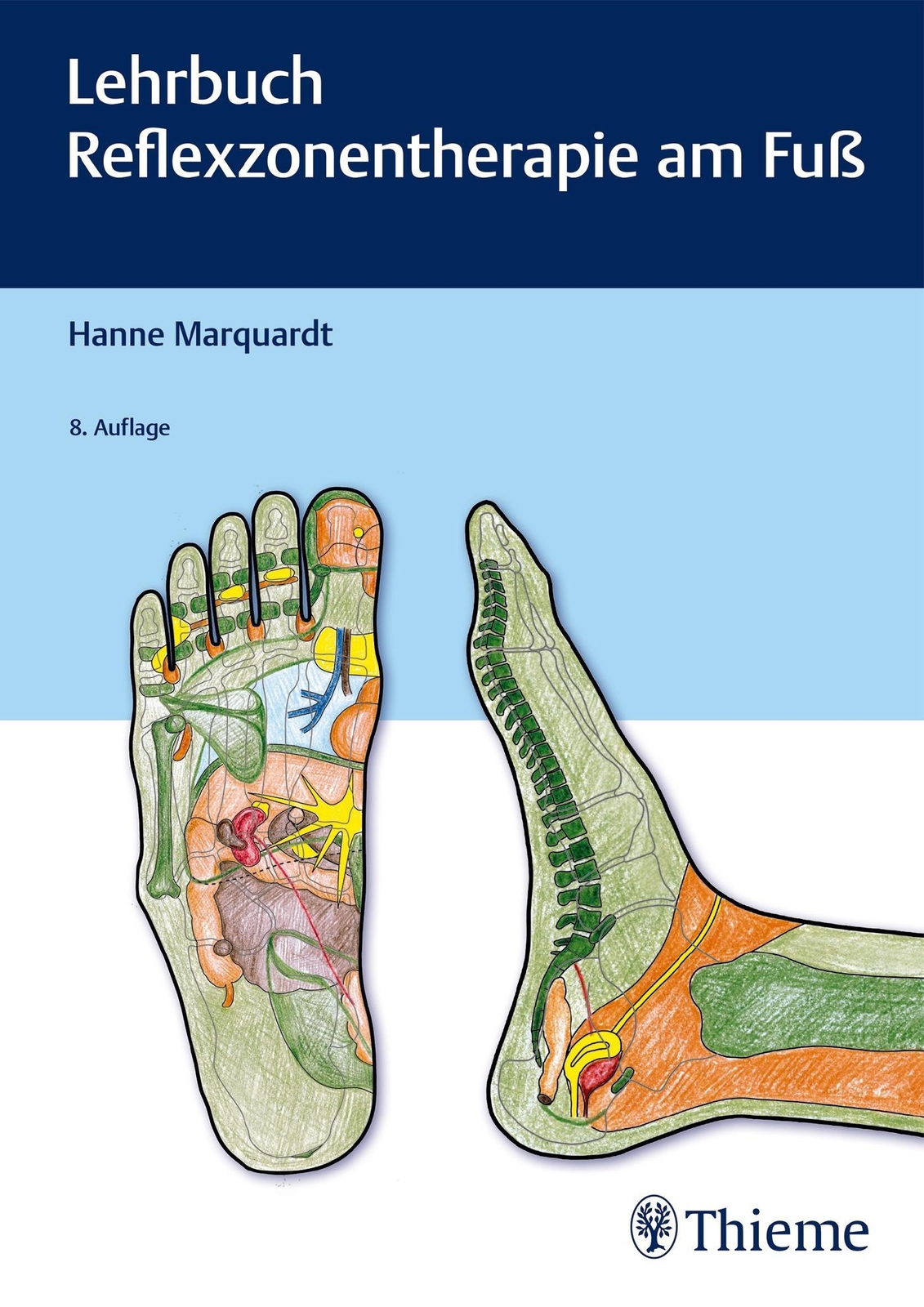 Lehrbuch Reflexzonentherapie Am Fuß Hanne Marquardt