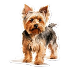 Yorkie Yorkshire Terrier, Vinyl Decal Sticker, Indoor Outdoor, 3 Sizes, 11379
