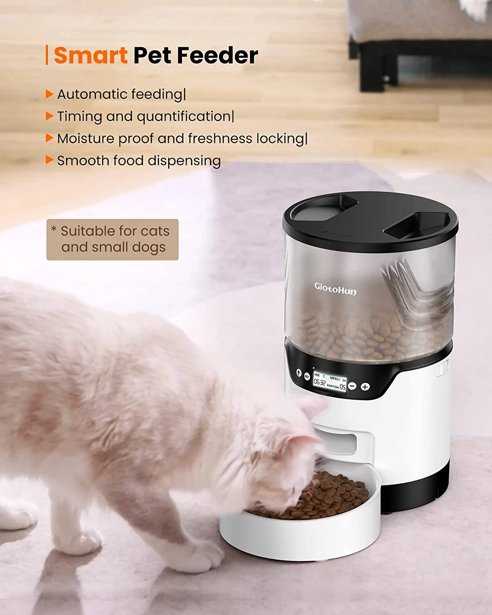 Timed animal feeder cheap