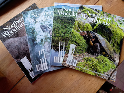 Northern Woodlands Magazine 4 LOT  F/W '24 S/S '25  New England Wildlife Ecology