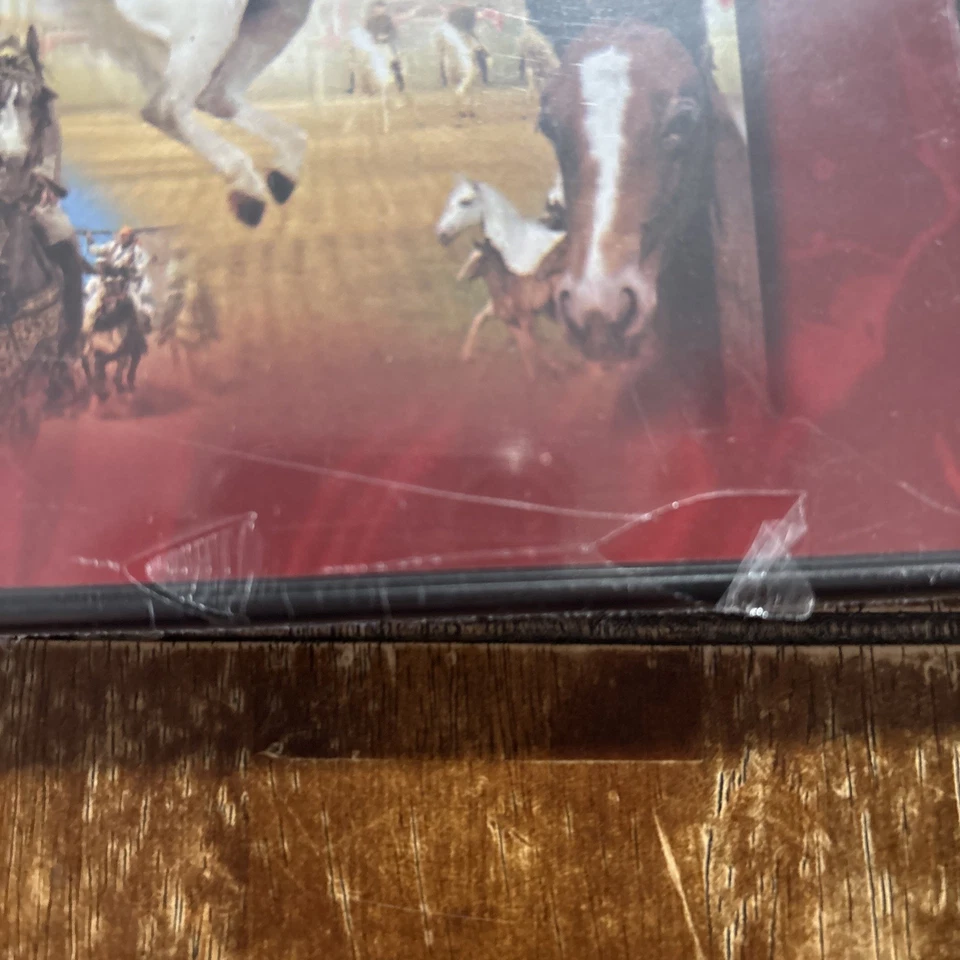 Majestic White Horses DVD The Spanish Riding School of Viennl 2005 NEW Foto 3 de 4