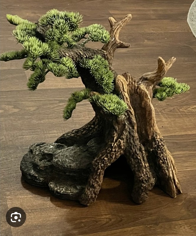 Kazoo Bonsai Plant Aquarium