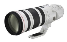 Canon EF 200-400 mm / 4,0 L IS USM + extender 1,4 x - dal rivenditore