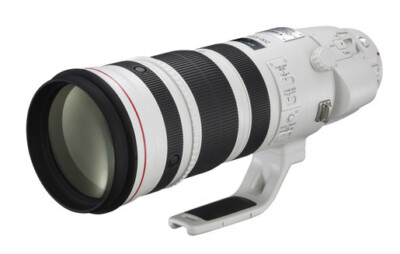 Canon EF 200-400mm / 4,0 L IS USM + Extender 1,4x - Vom Fachhändler