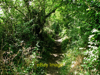 Photo 6x4 Horseheath: vestiges of The Roman Road Much less recognisable a c2012