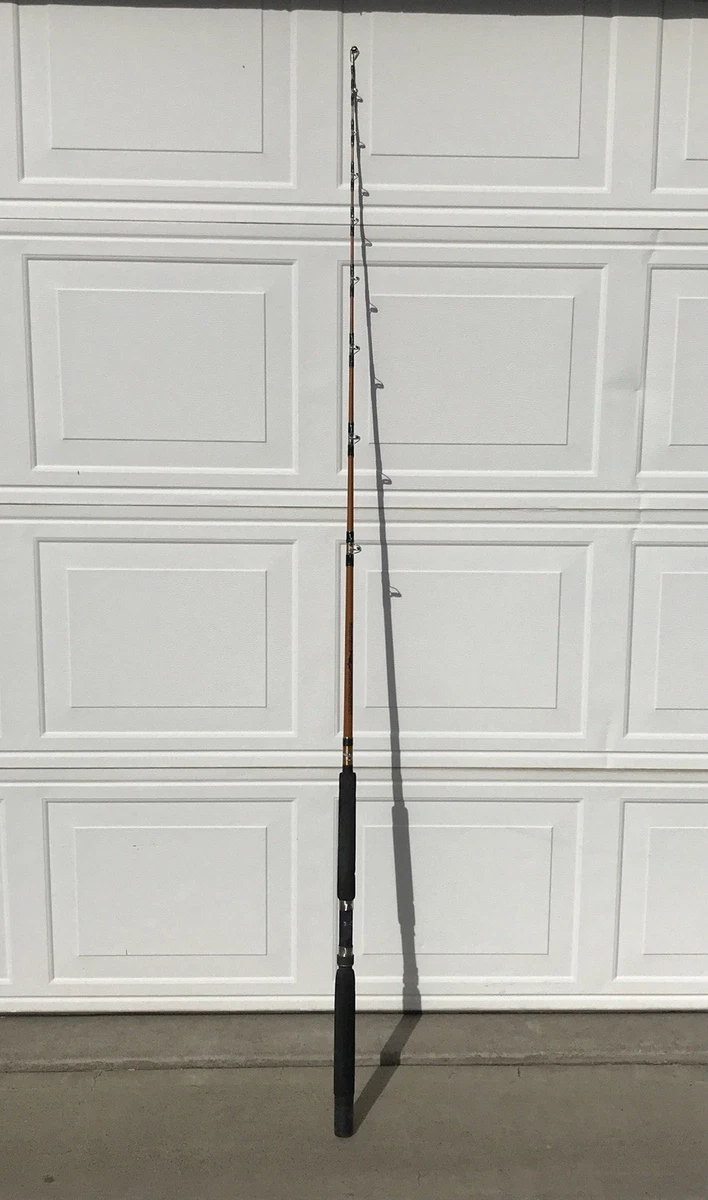 Fenwick Saltwater Fishing Poles & 6 ft 6 in Item Fishing Rods for