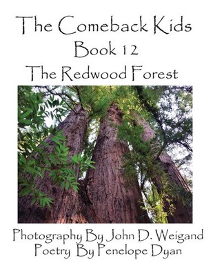 Penelope Dyan | The Comeback Kids, Book 12, the Redwood Forest | Taschenbuch
